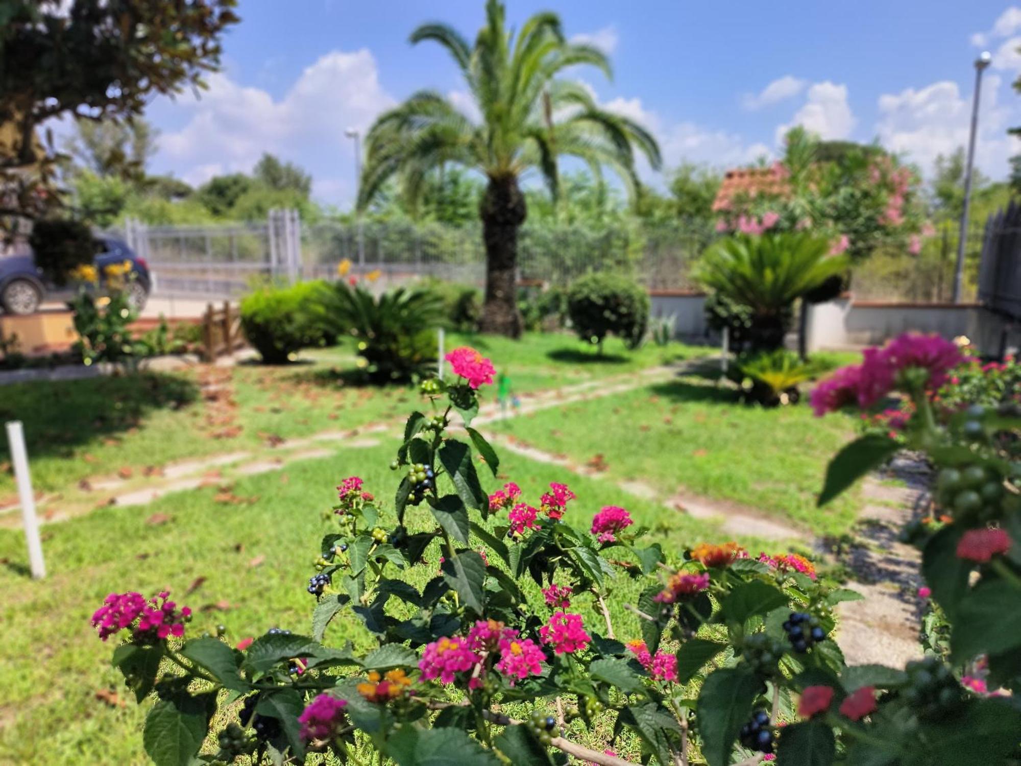 I Giardini Di Plinio - Elegante E Luminoso. Διαμέρισμα Boscoreale Εξωτερικό φωτογραφία